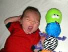 yawn12Dec06